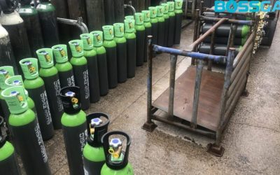 How do Beverage Gases Taste? Know The Science of Carbonation